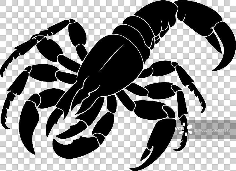 白色背景上的蝎子轮廓图片素材
