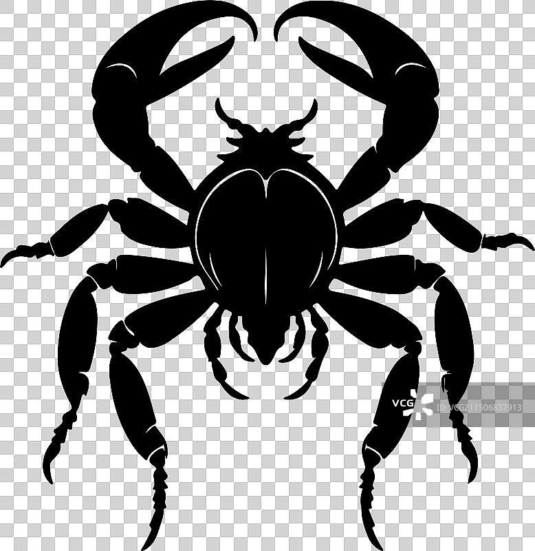 白色背景上的蝎子轮廓图片素材