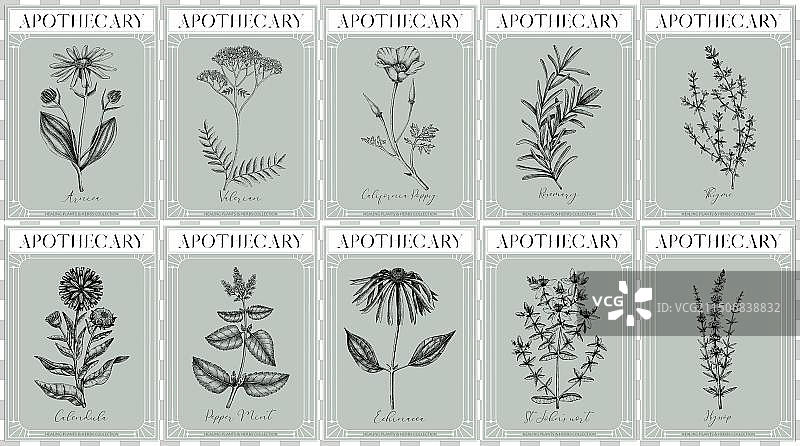 药剂标签草药植物套装图片素材