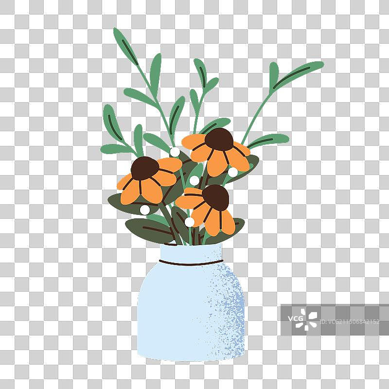 花瓶中盛开的紫锥菊图片素材