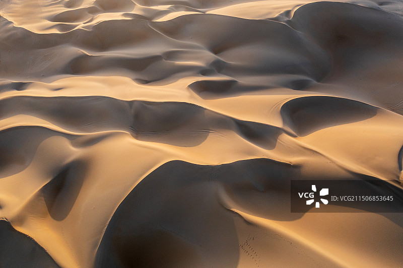 新疆巴州尉犁县塔克拉玛干沙漠塔里木河的胡杨图片素材