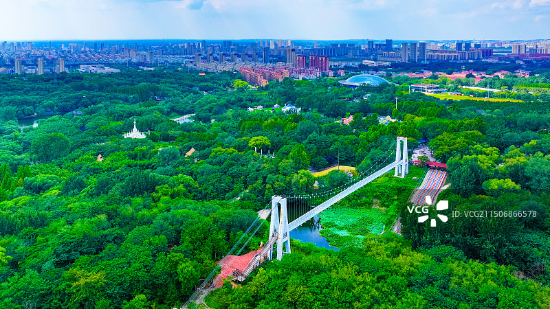 安丘青云山民俗游乐园，公园，森林图片素材