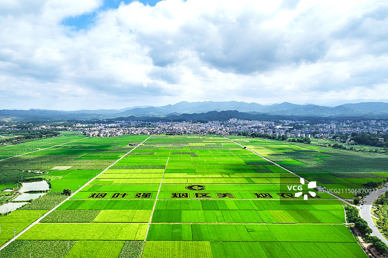 新农业 新农村 机械化 掌上农业 云农业图片素材