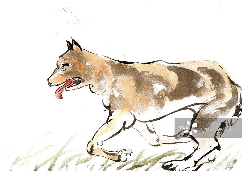 伸舌头的小狗图片素材