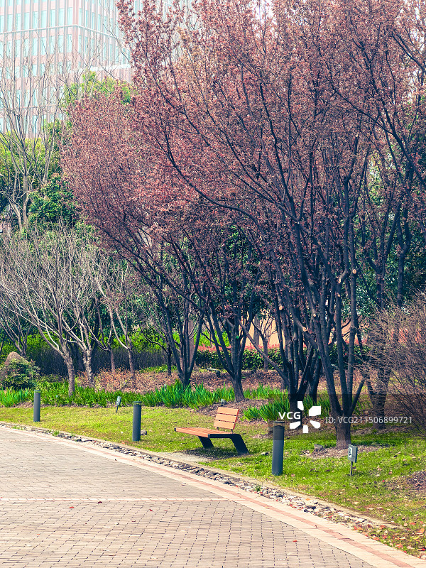 公园小路边的长椅图片素材