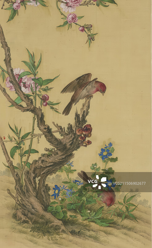 古代中国画，清朝，郎世宁，花鸟图图片素材