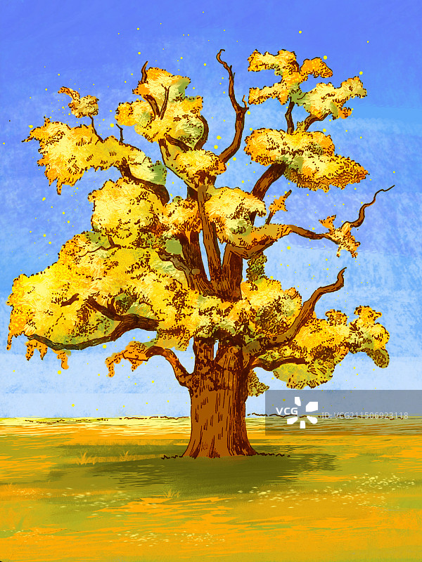 一颗银杏树手绘图片素材