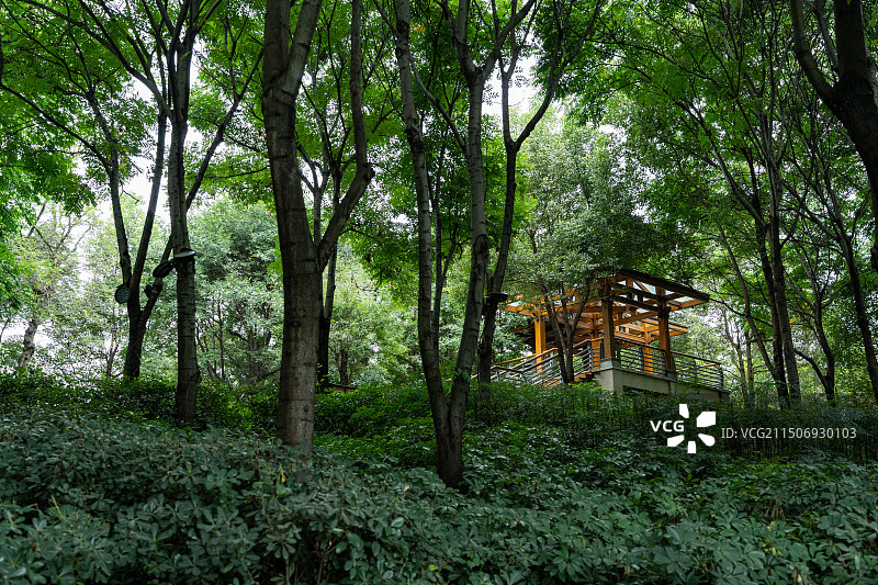 四川德阳什邡市雍湖公园绿岛图片素材