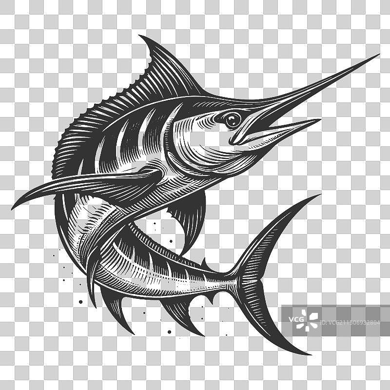 旗鱼蓝枪鱼雕刻图片素材