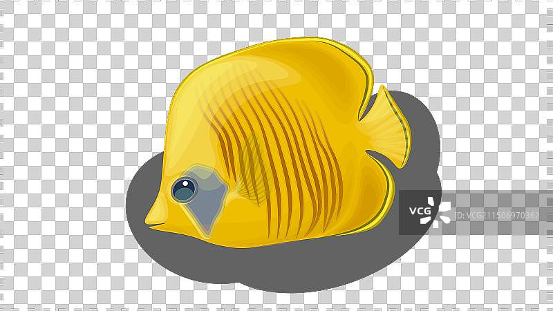 3D橙色黑白色小丑鱼图片素材