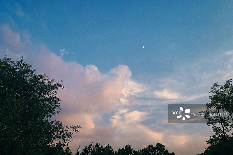 美食摄影，城市景观，美食特写，动物肖像，水果，小狗，天空，樱花，花图片素材