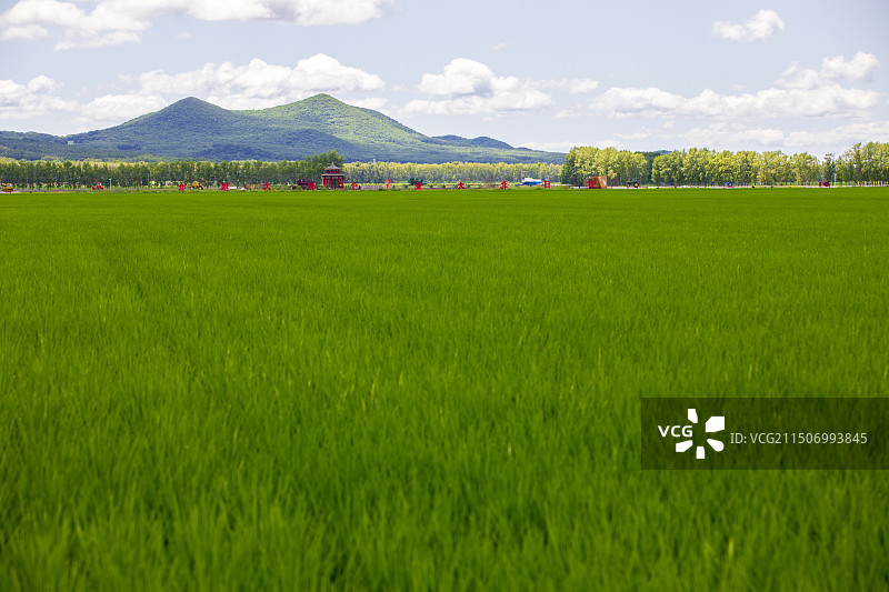 今日北大荒图片素材