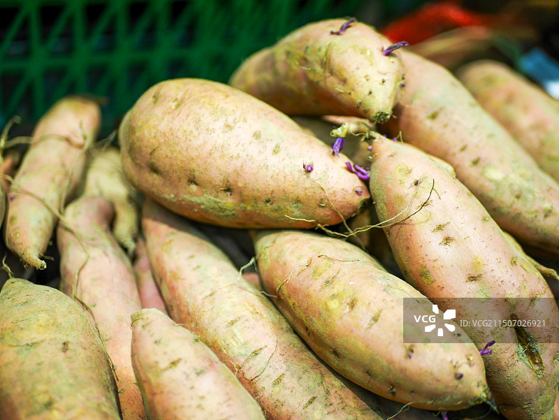 马铃薯图片素材