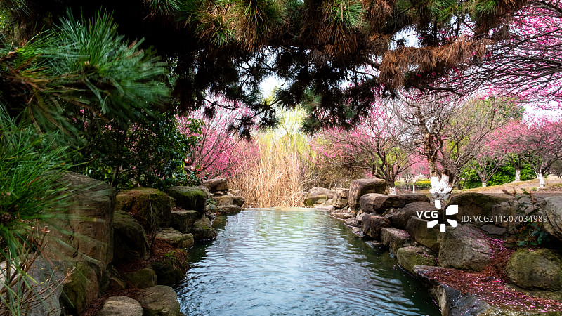 苏州市大阳山国家森林公园图片素材