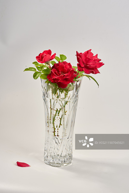 红色鲜花和玻璃花瓶图片素材