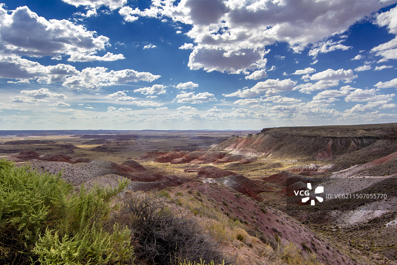 美国西部化石森林公园的地形地貌图片素材