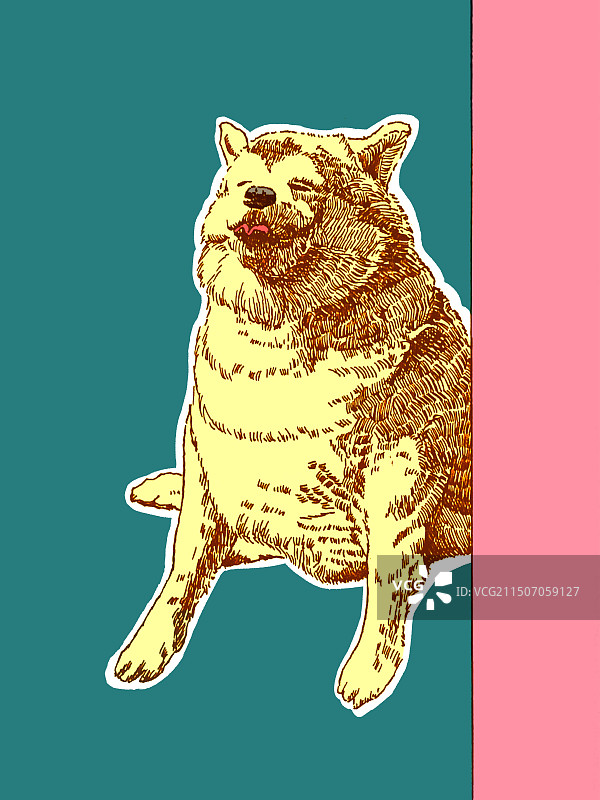 可爱小狗吐舌头图片素材