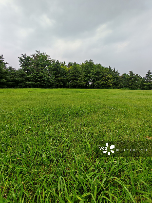 丰南气象科普公园草坪图片素材