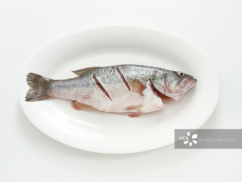 白色桌面盘子上的一条新鲜食材鱼图片素材