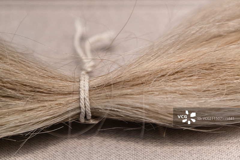 上海闵行博物馆，二胡制作原料马尾图片素材