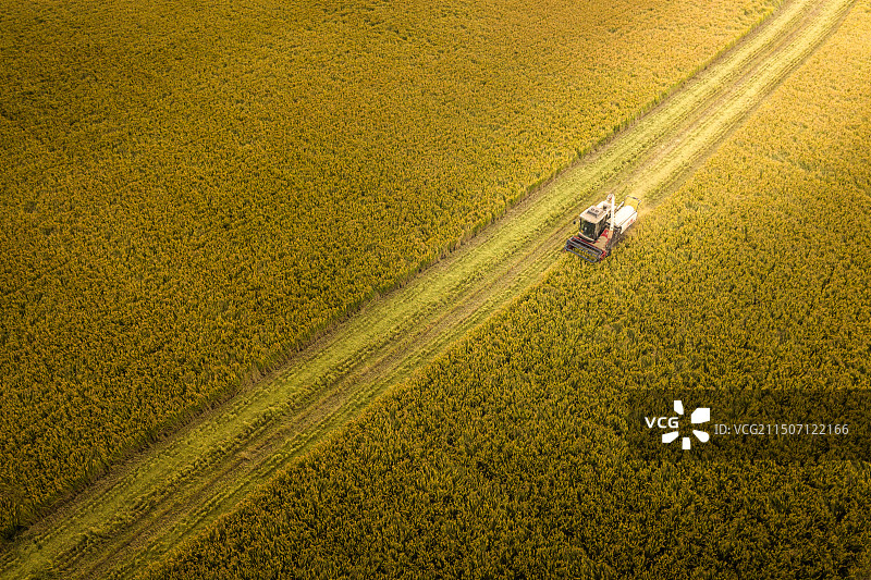 收割机，秋天的收获图片素材