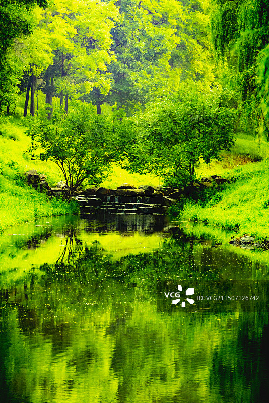 避暑山庄荷花图片素材
