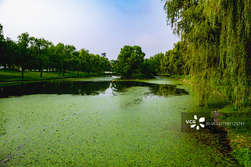 避暑山庄荷花图片素材