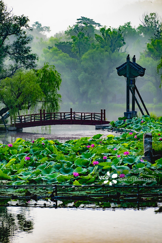 避暑山庄荷花图片素材