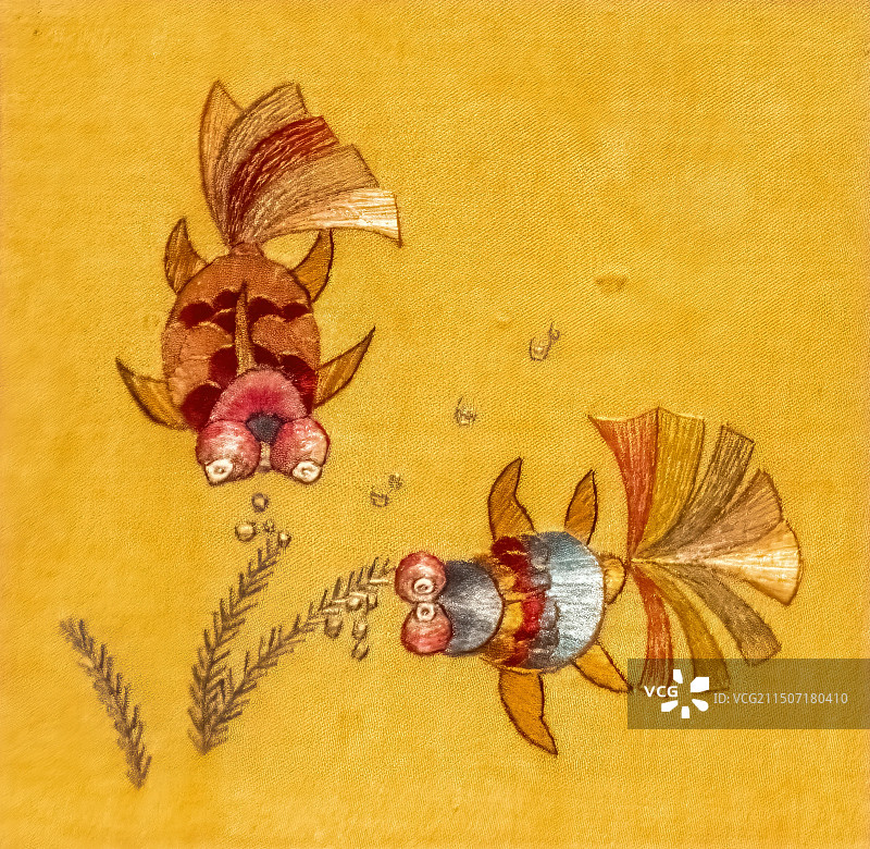 开封非遗，刺绣图案，金鱼水草图片素材