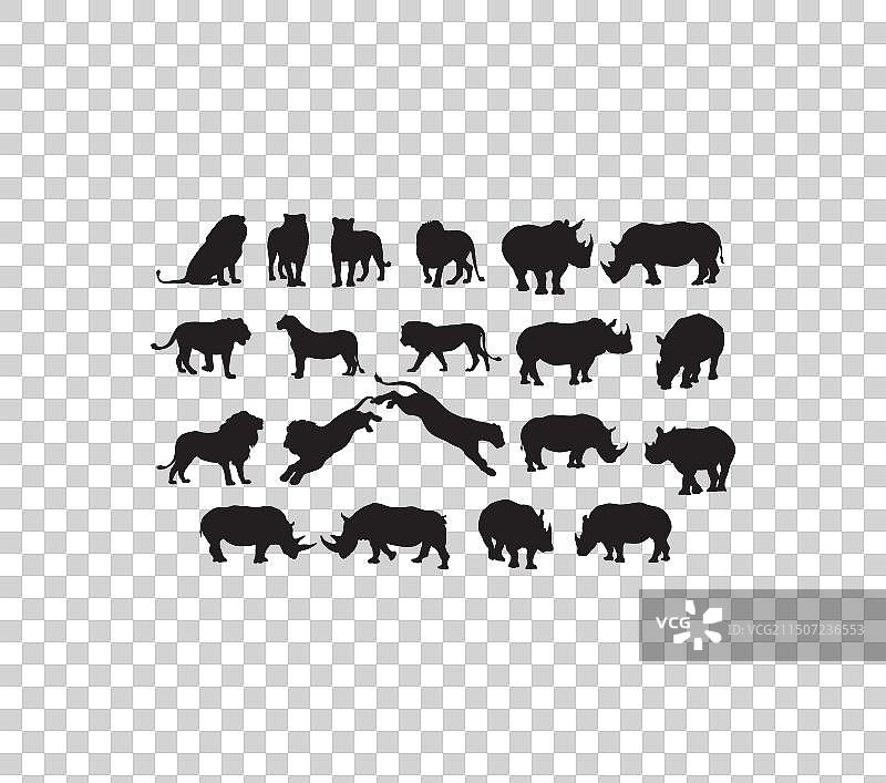 狮子和犀牛轮廓剪影图片素材