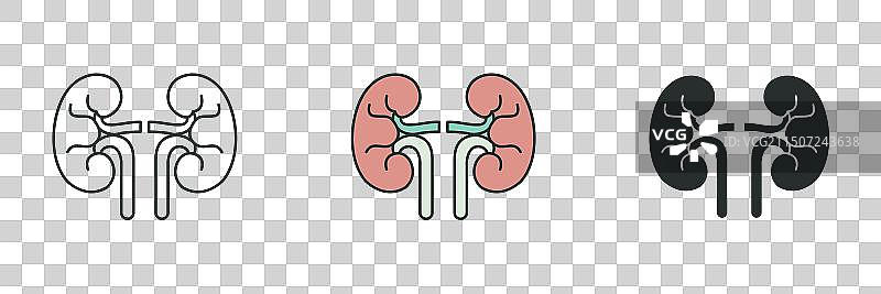 肾脏图标医疗保健主题符号图片素材