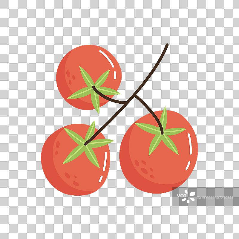 新鲜樱桃番茄枝图片素材