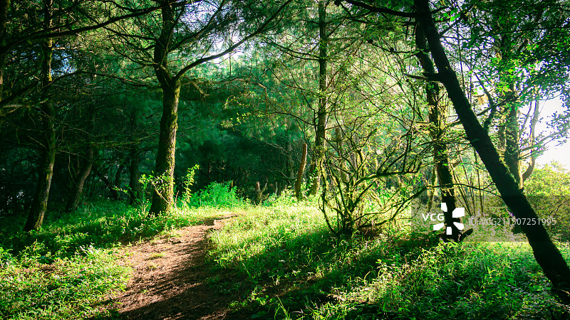云南昆明十峰之晋宁谷堆山徒步风光图片素材