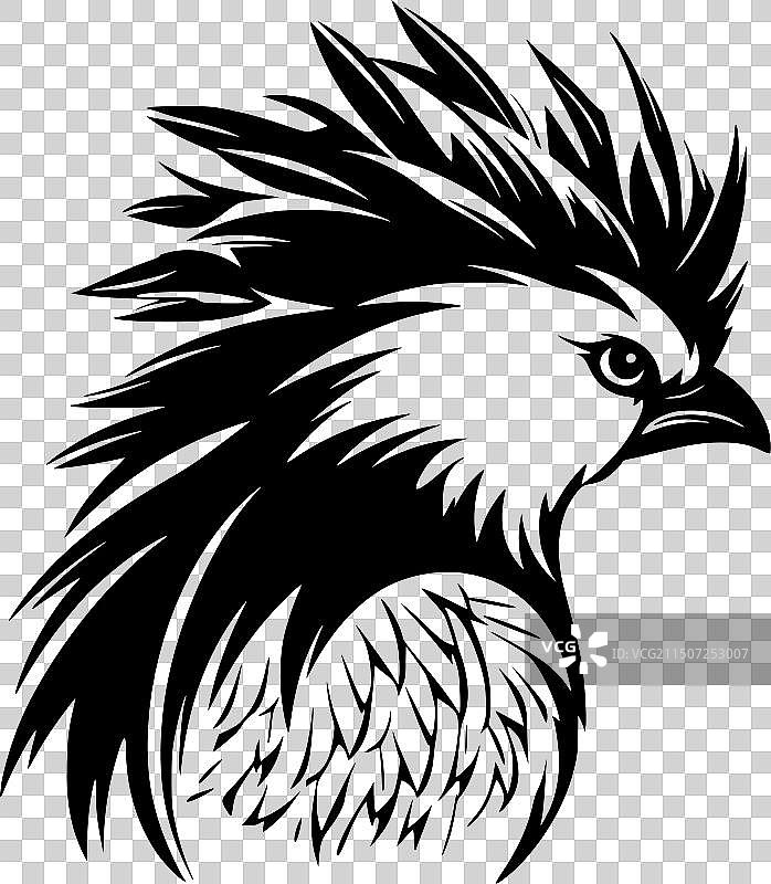 高品质的鹦鹉标志，适用于T恤图片素材