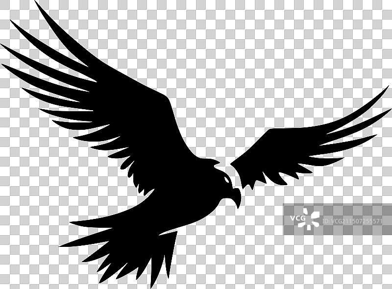 海燕 - 简约剪影图片素材