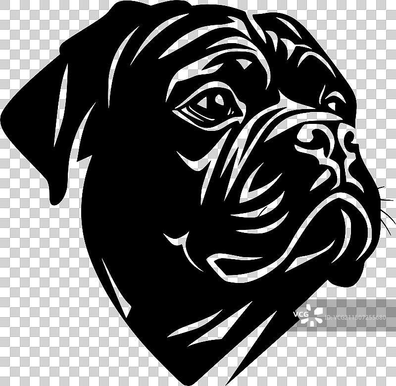 黑白色的哈巴狗图片素材