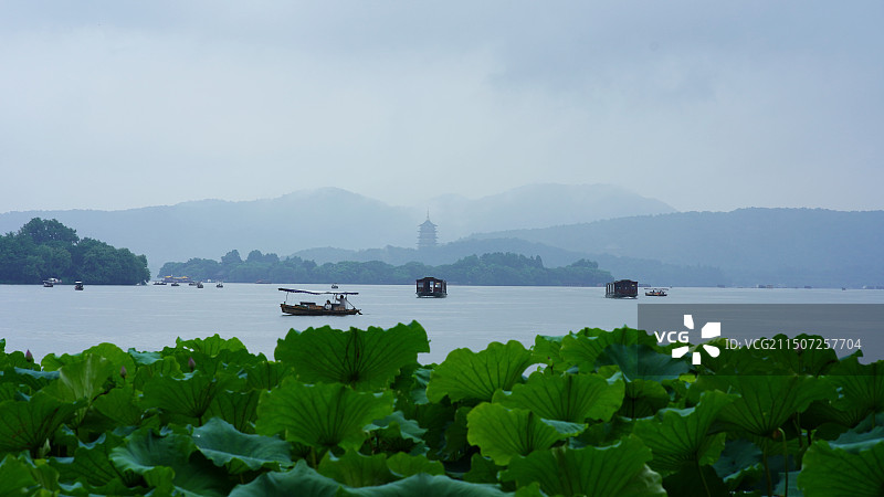 夏日的雨中西湖图片素材