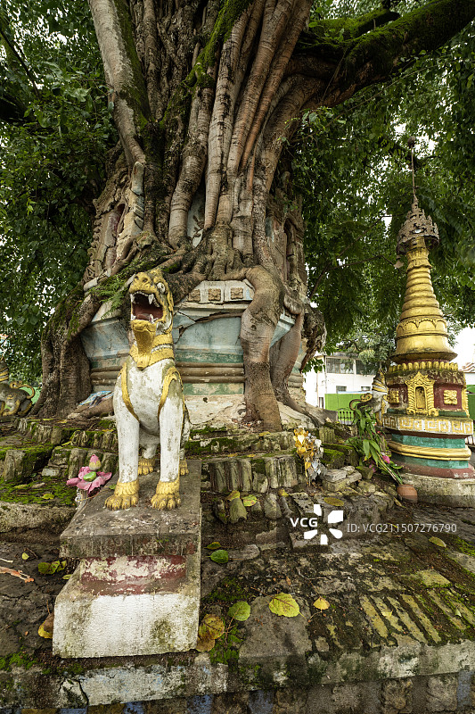 云南芒市树包塔图片素材