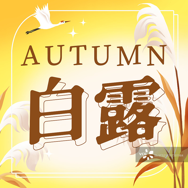 白露芦苇弥散风横版公众号首图促销海报图片素材