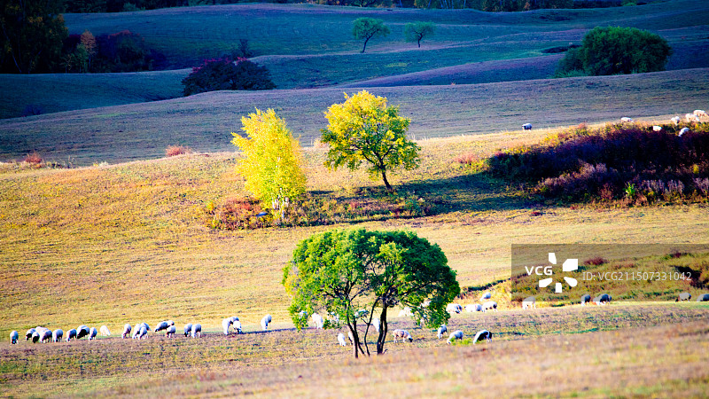 国家一号风景大道秋景图片素材
