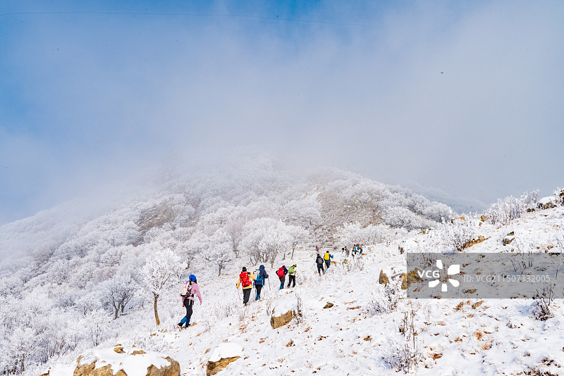 白草畔雾凇图片素材