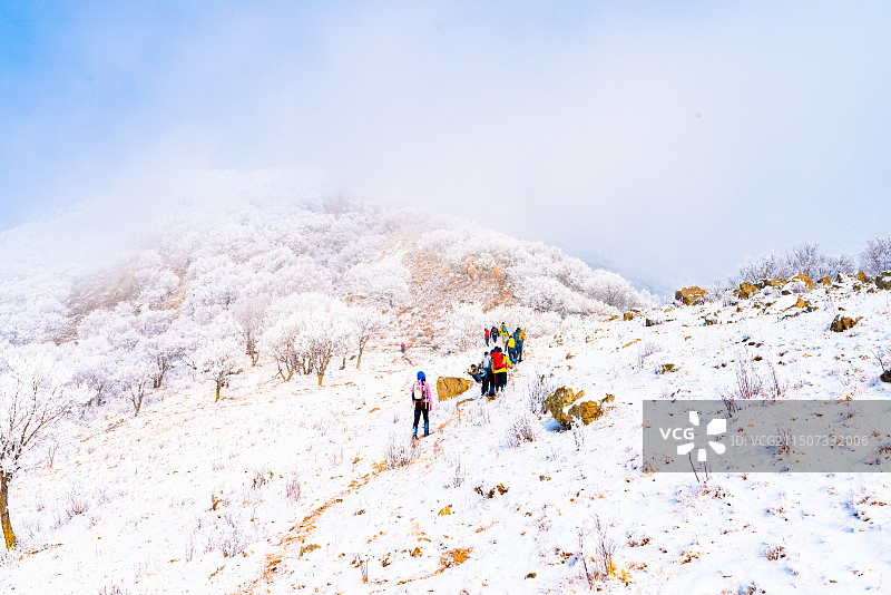 白草畔雾凇图片素材