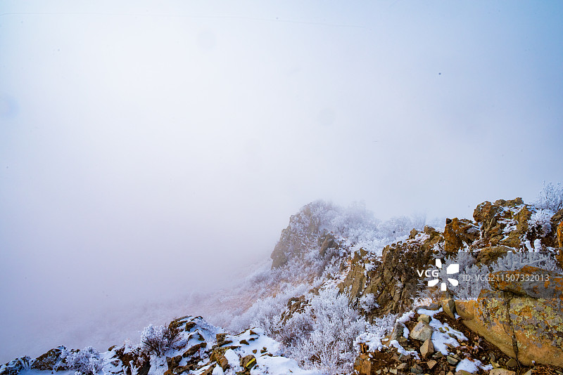 白草畔雾凇图片素材