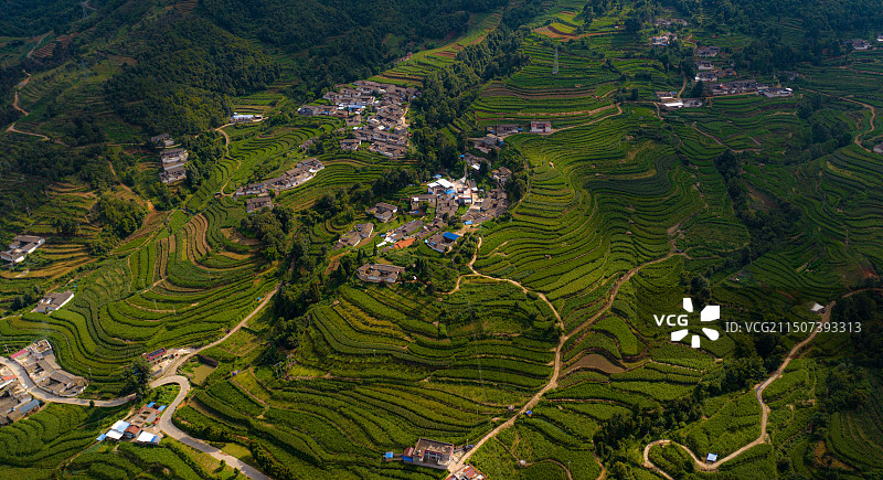 会理乡村茭白梯田图片素材