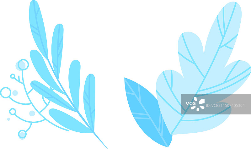 精致的蓝色植物叶子树枝图片素材