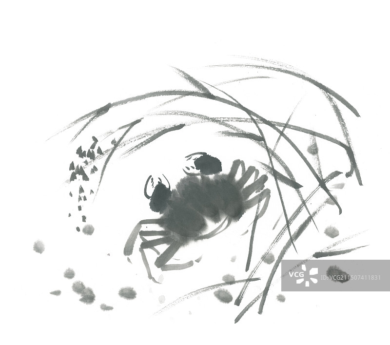 螃蟹与水草水墨静物国画图片素材