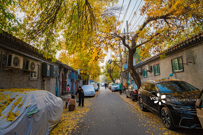 胡同秋色图片素材