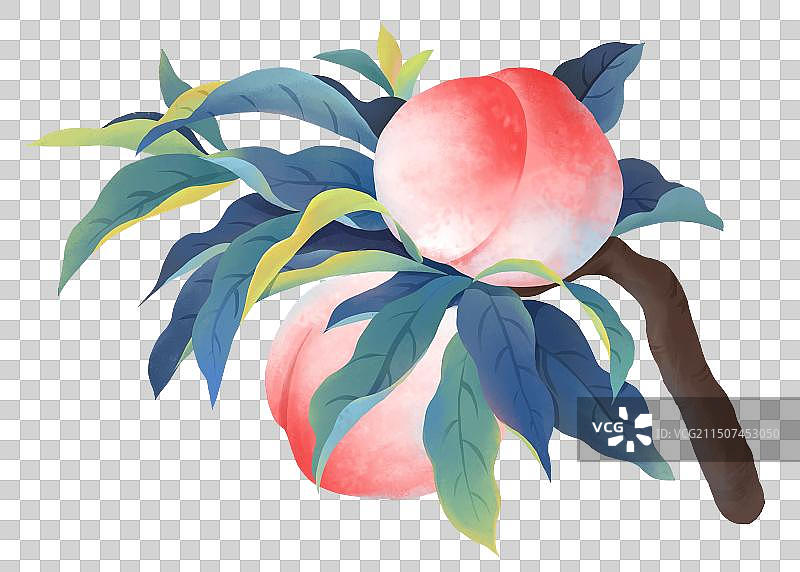 夏天节气插画新中式风格水果桃子设计元素图片素材