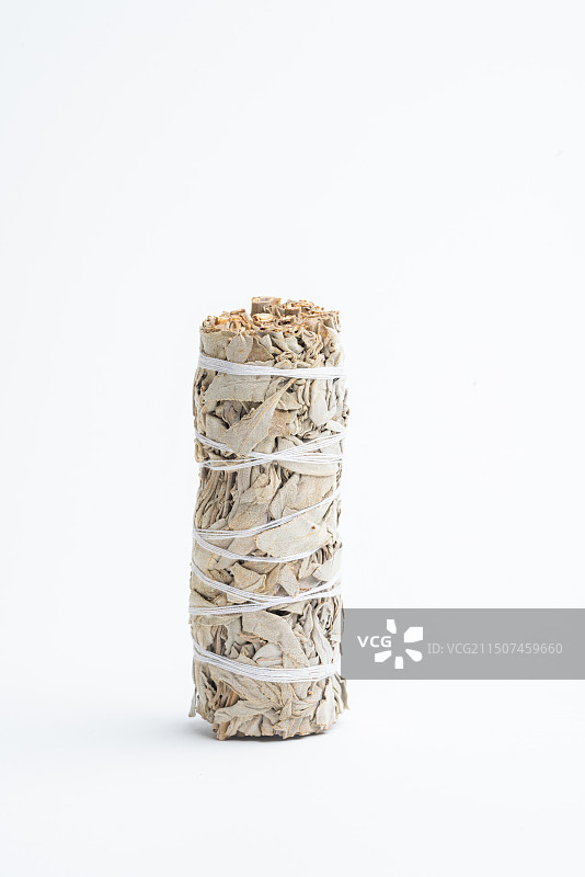 鼠尾草图片素材