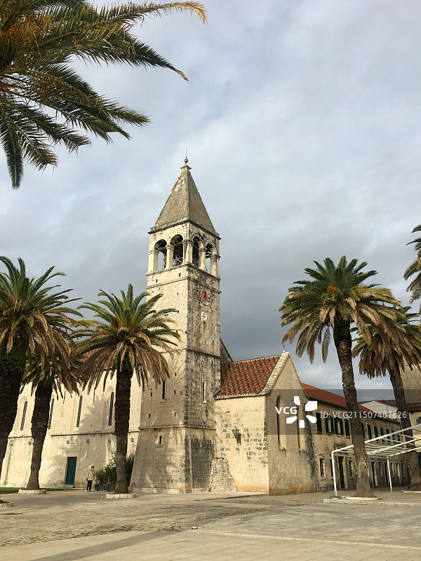 棕榈树和建筑物仰天俯视图片素材